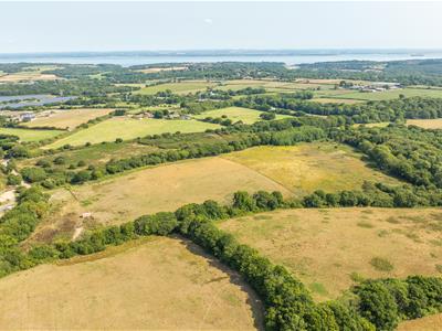 Click to view more details